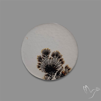 Scenic Agate Cabochon