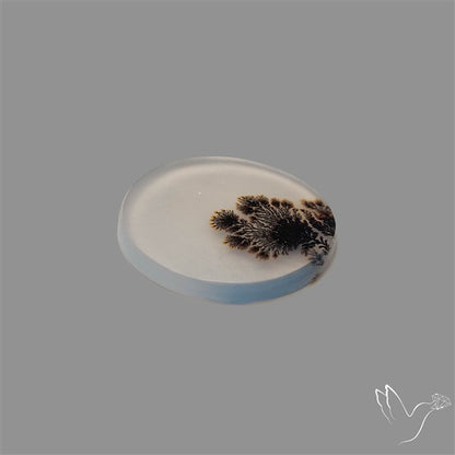Scenic Agate Cabochon