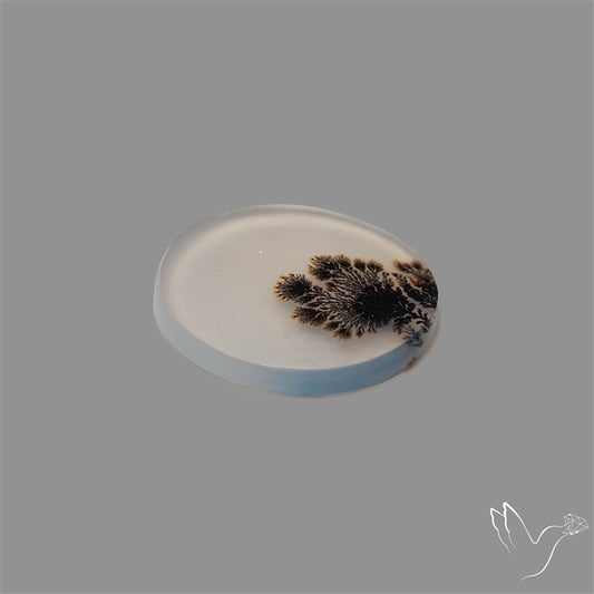 Scenic Agate Cabochon