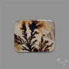 Scenic Agate Cabochon