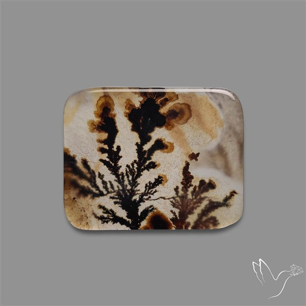 Scenic Agate Cabochon