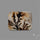 Scenic Agate Cabochon