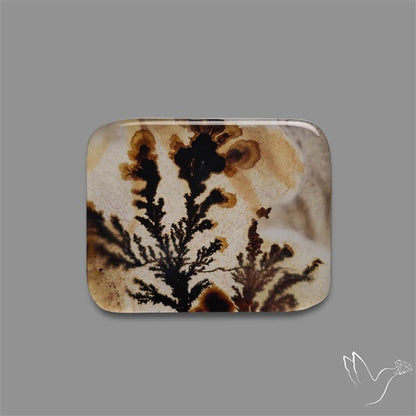 Scenic Agate Cabochon