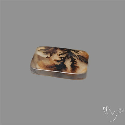 Scenic Agate Cabochon