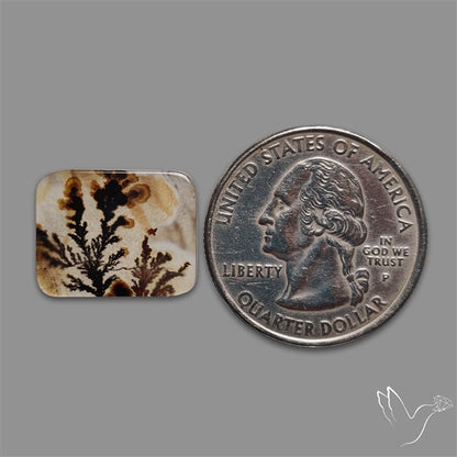Scenic Agate Cabochon