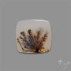 Scenic Agate Cabochon