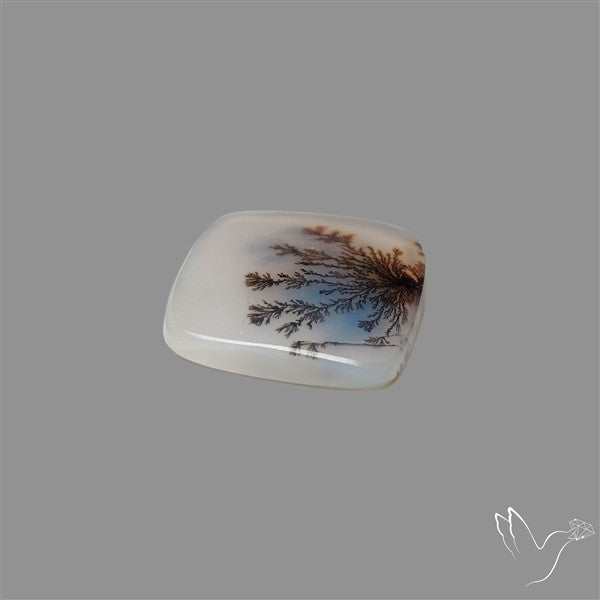 Scenic Agate Cabochon