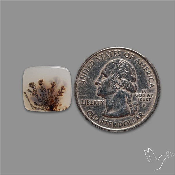 Scenic Agate Cabochon