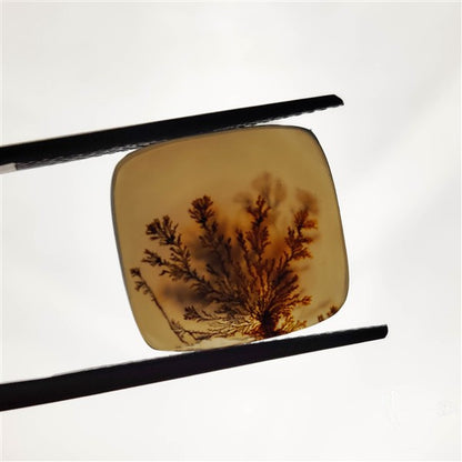 Scenic Agate Cabochon