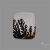 Scenic Agate Cabochon