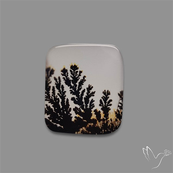 Scenic Agate Cabochon