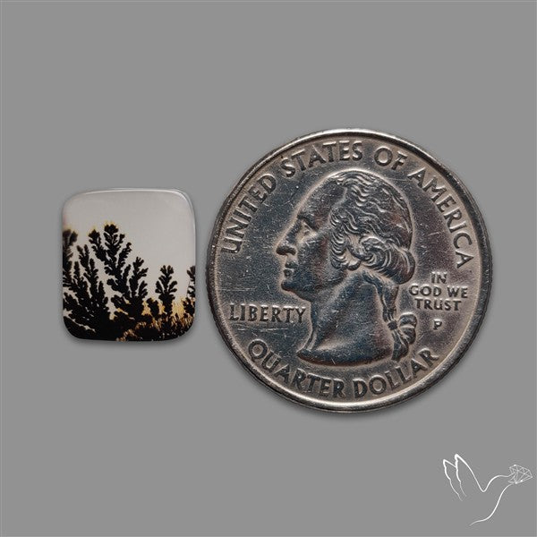 Scenic Agate Cabochon