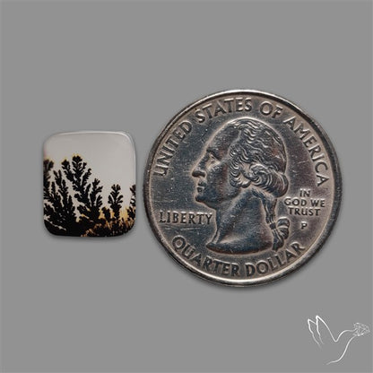 Scenic Agate Cabochon