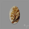 Scenic Agate Cabochon