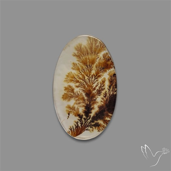 Scenic Agate Cabochon