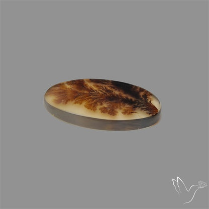 Scenic Agate Cabochon