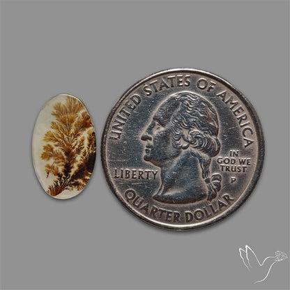 Scenic Agate Cabochon