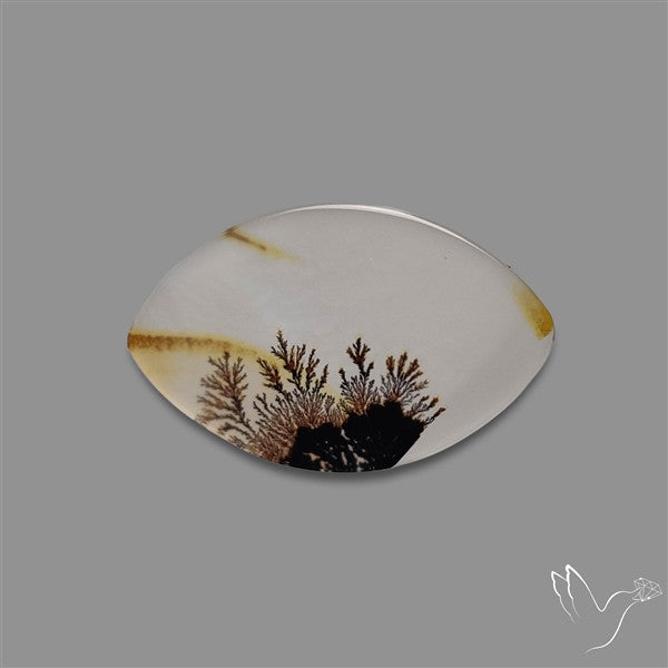 Scenic Agate Cabochon