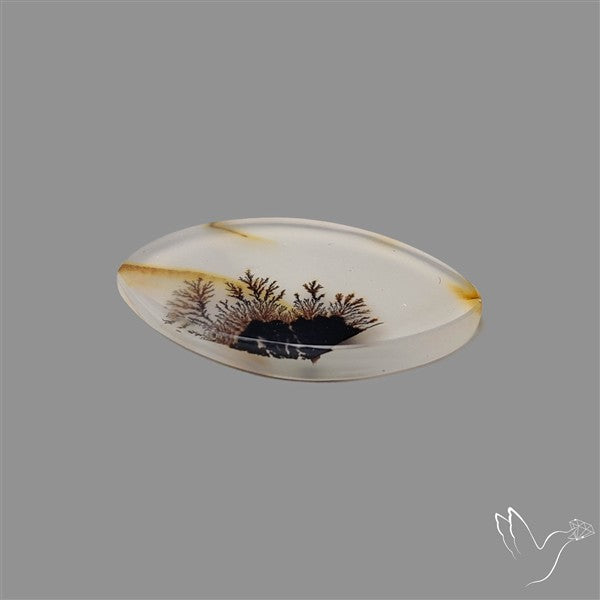 Scenic Agate Cabochon
