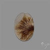 Scenic Agate Cabochon