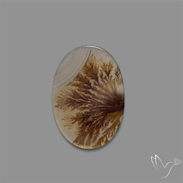 Scenic Agate Cabochon