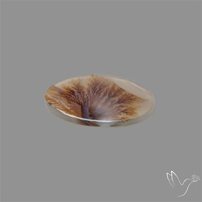 Scenic Agate Cabochon