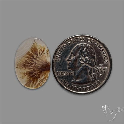 Scenic Agate Cabochon