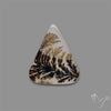Scenic Agate Cabochon