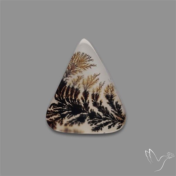 Scenic Agate Cabochon