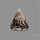 Scenic Agate Cabochon