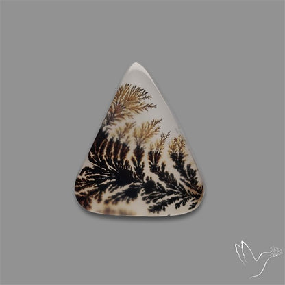 Scenic Agate Cabochon