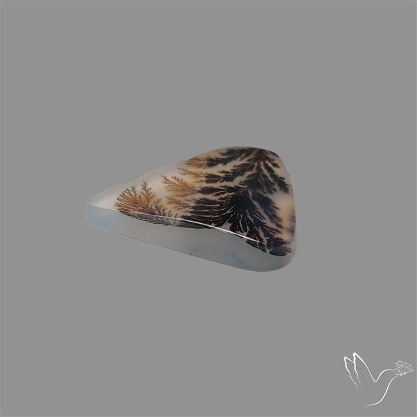Scenic Agate Cabochon