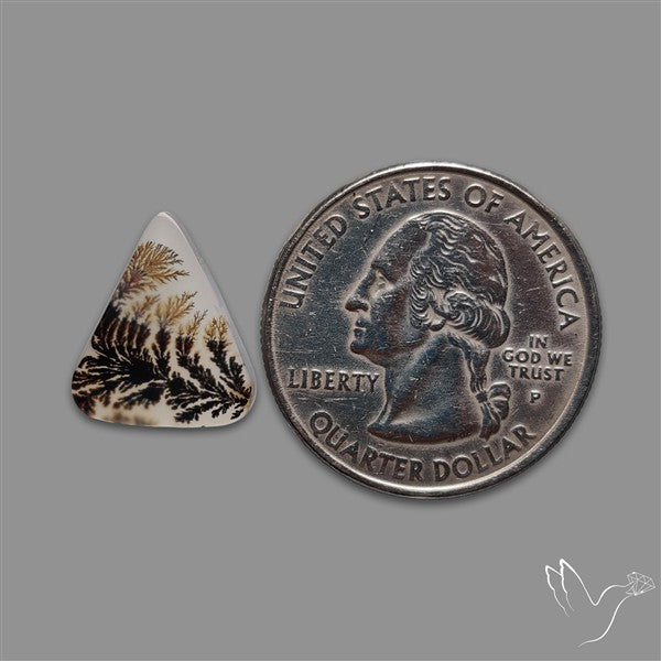 Scenic Agate Cabochon