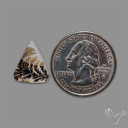 Scenic Agate Cabochon