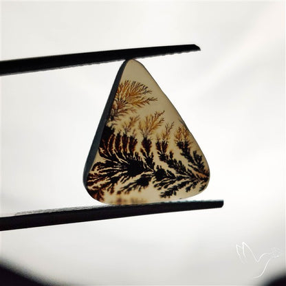 Scenic Agate Cabochon