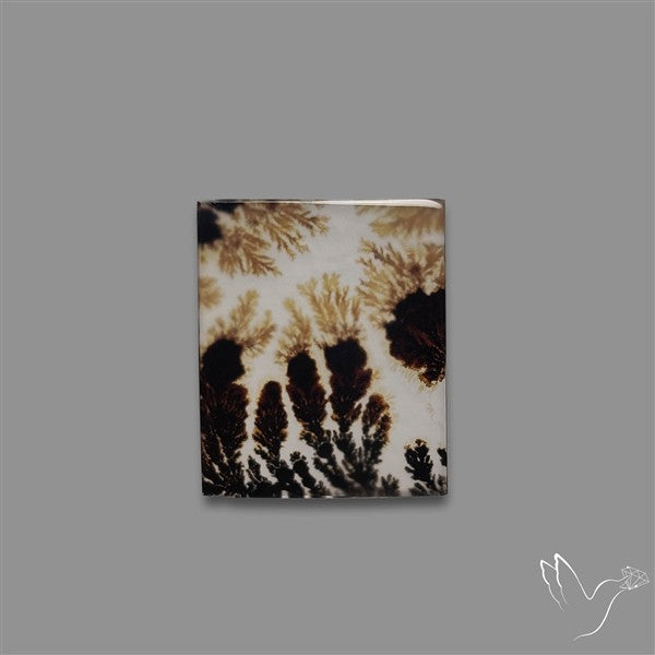 Scenic Agate Cabochon