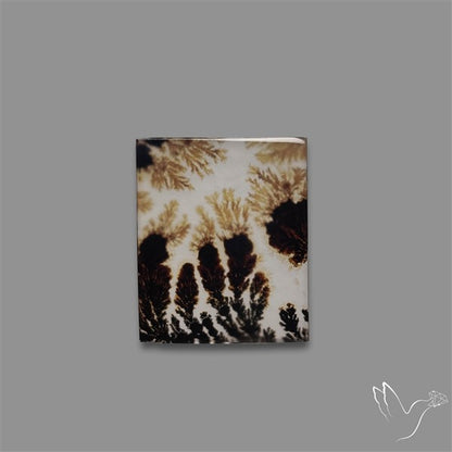 Scenic Agate Cabochon