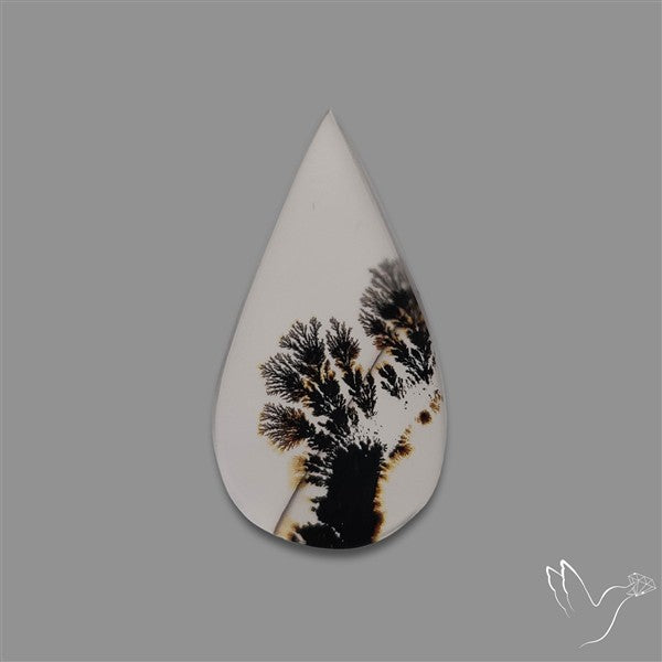 Scenic Agate Cabochon