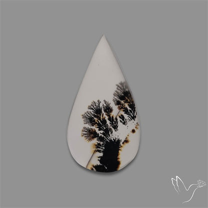 Scenic Agate Cabochon