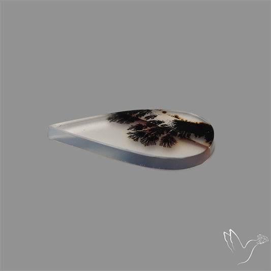 Scenic Agate Cabochon