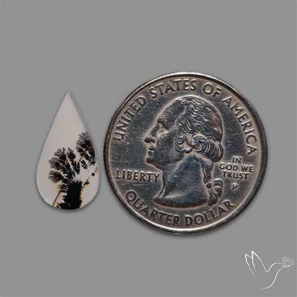 Scenic Agate Cabochon