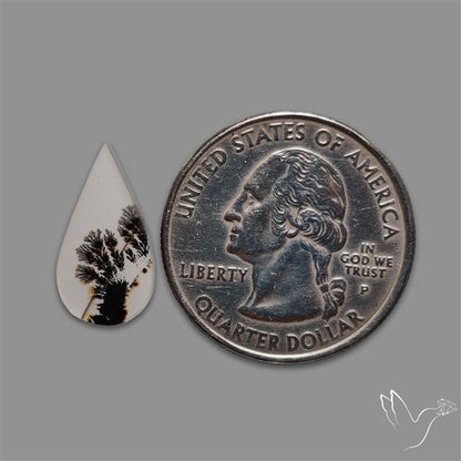 Scenic Agate Cabochon