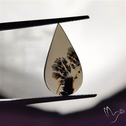 Scenic Agate Cabochon