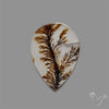Scenic Agate Cabochon