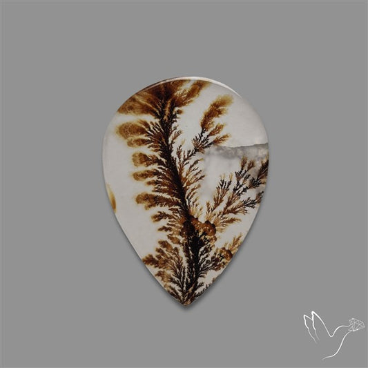 Scenic Agate Cabochon