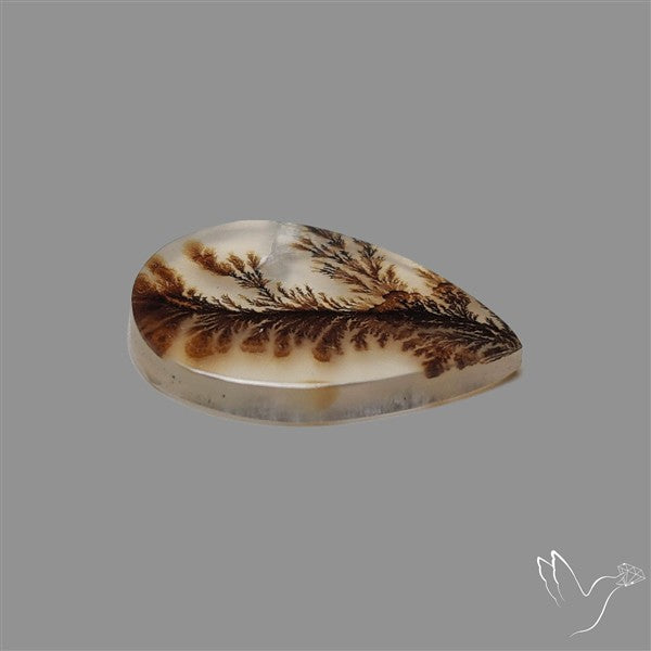 Scenic Agate Cabochon