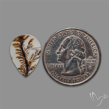 Scenic Agate Cabochon