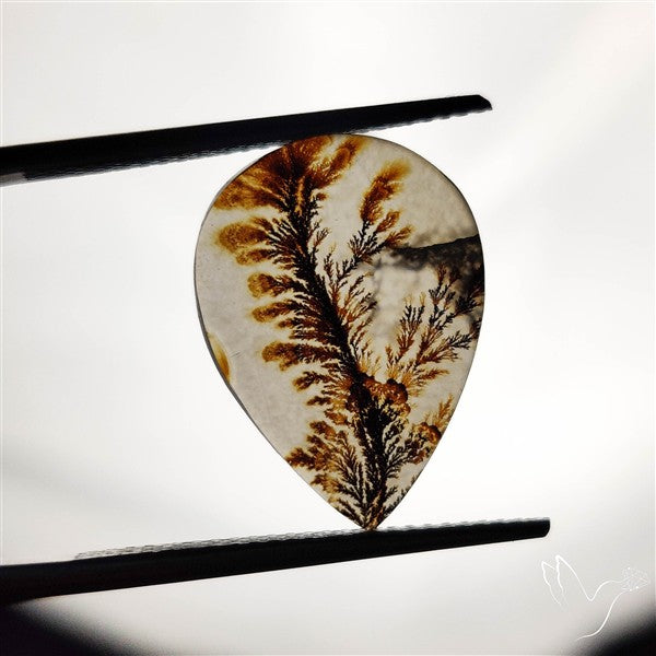 Scenic Agate Cabochon
