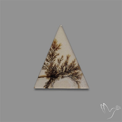 Scenic Agate Cabochon