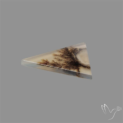 Scenic Agate Cabochon